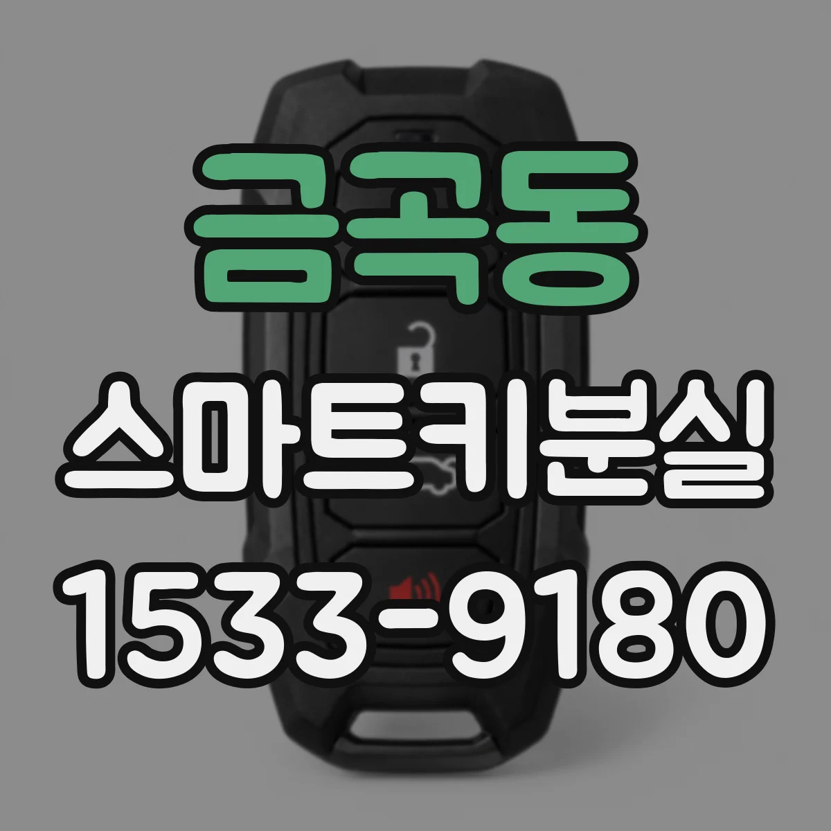 금곡동 스마트키분실