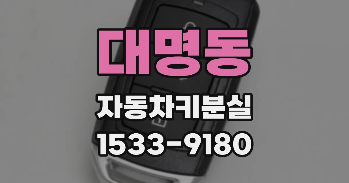 대명동 자동차키분실