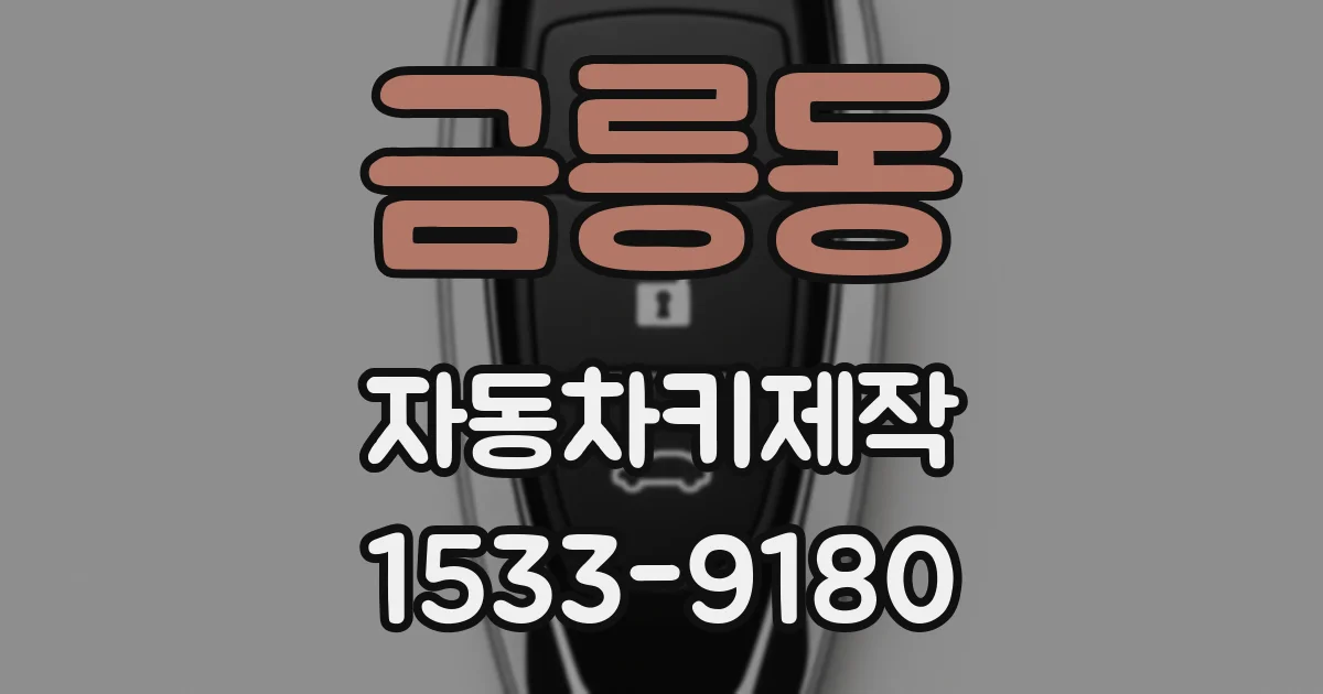금릉동 자동차키제작