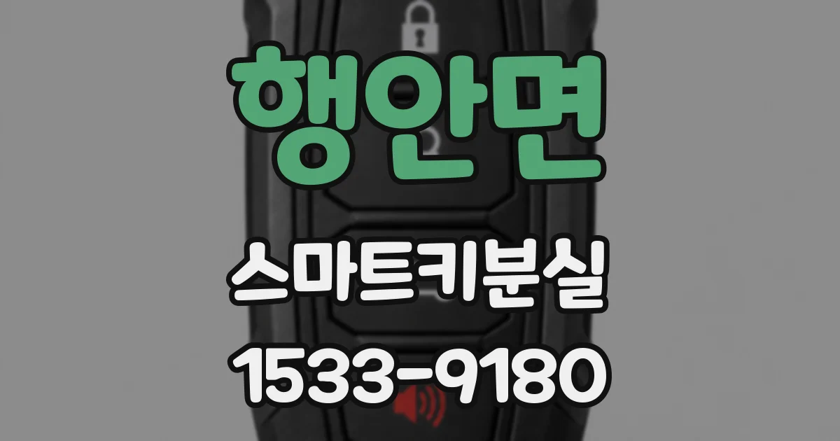 행안면 스마트키분실