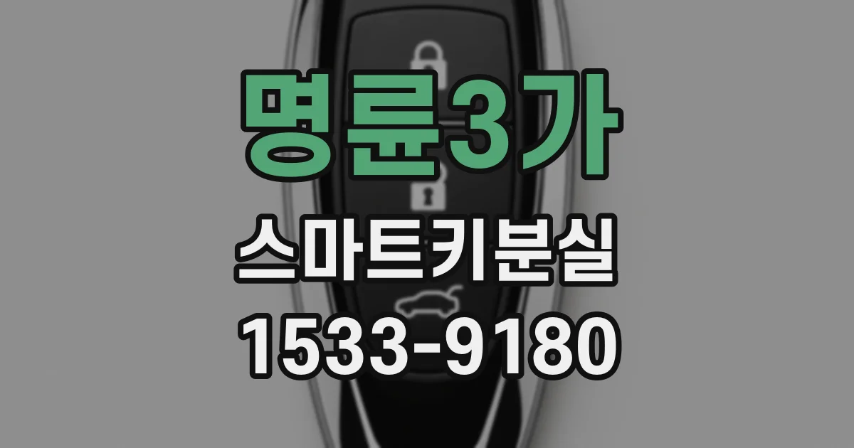 명륜3가 스마트키분실