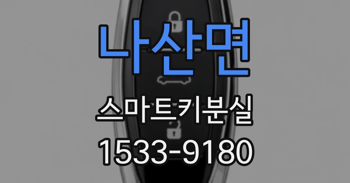 나산면 스마트키분실
