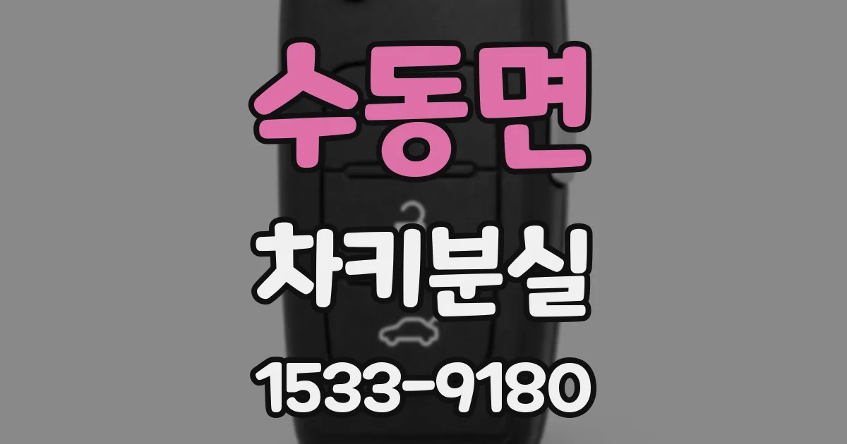 수동면 차키분실