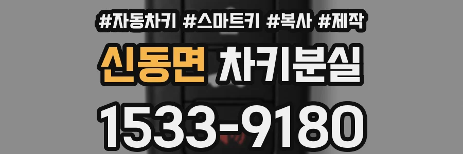 신동면 차키분실
