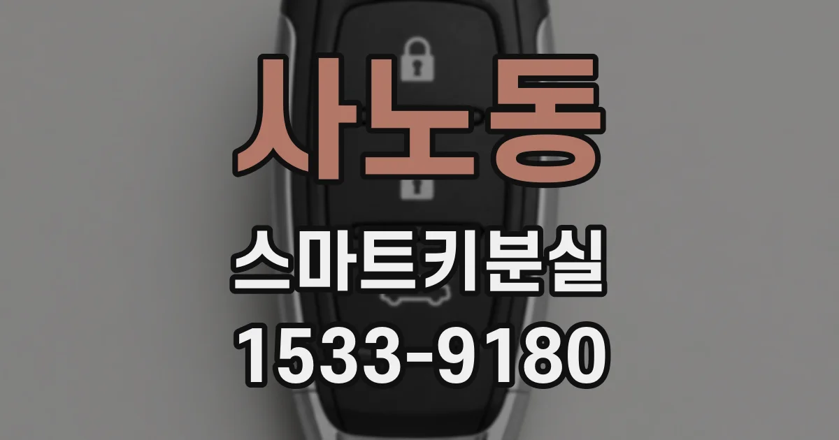 사노동 스마트키분실