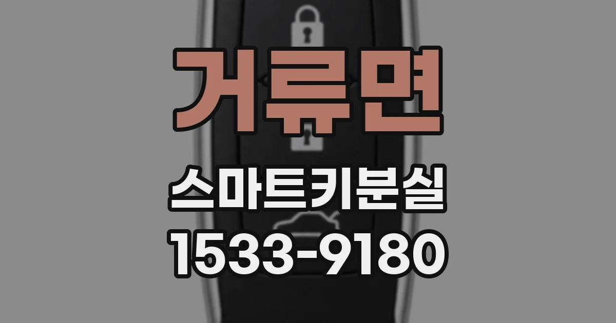 거류면 스마트키분실