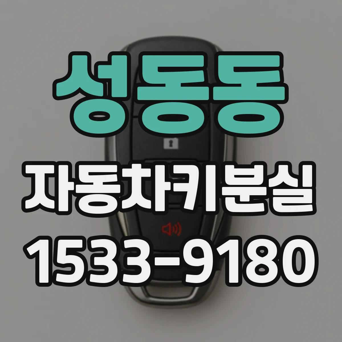 성동동 자동차키분실