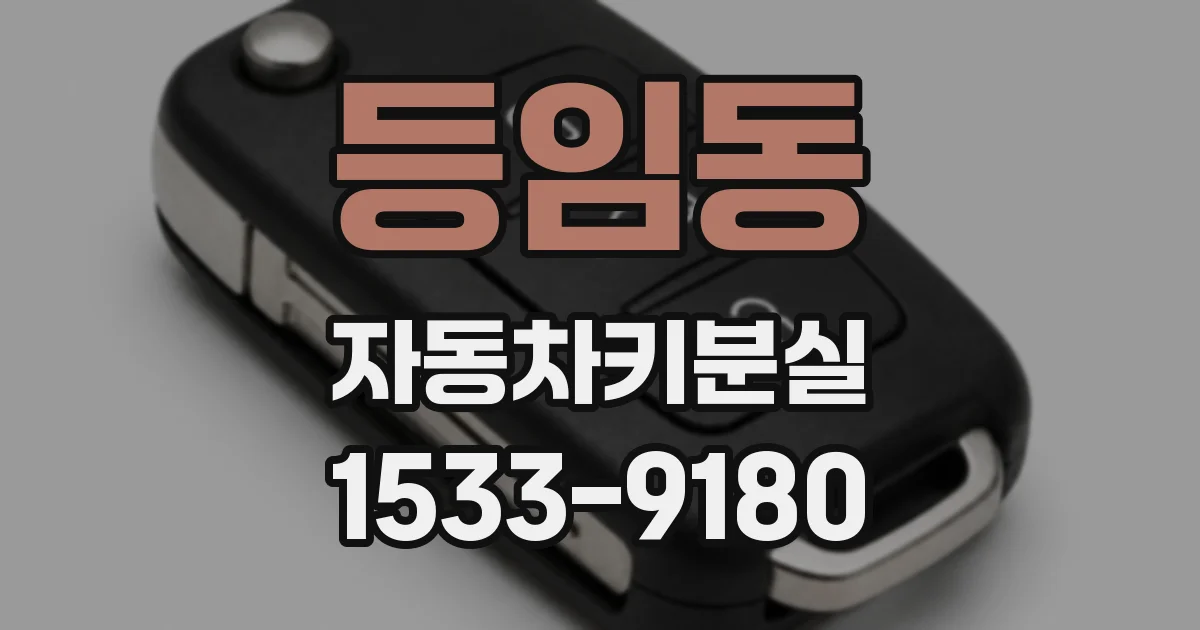 등임동 자동차키분실