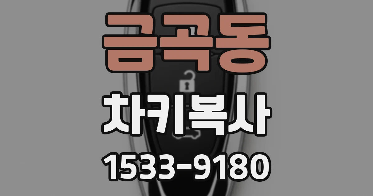 금곡동 차키복사