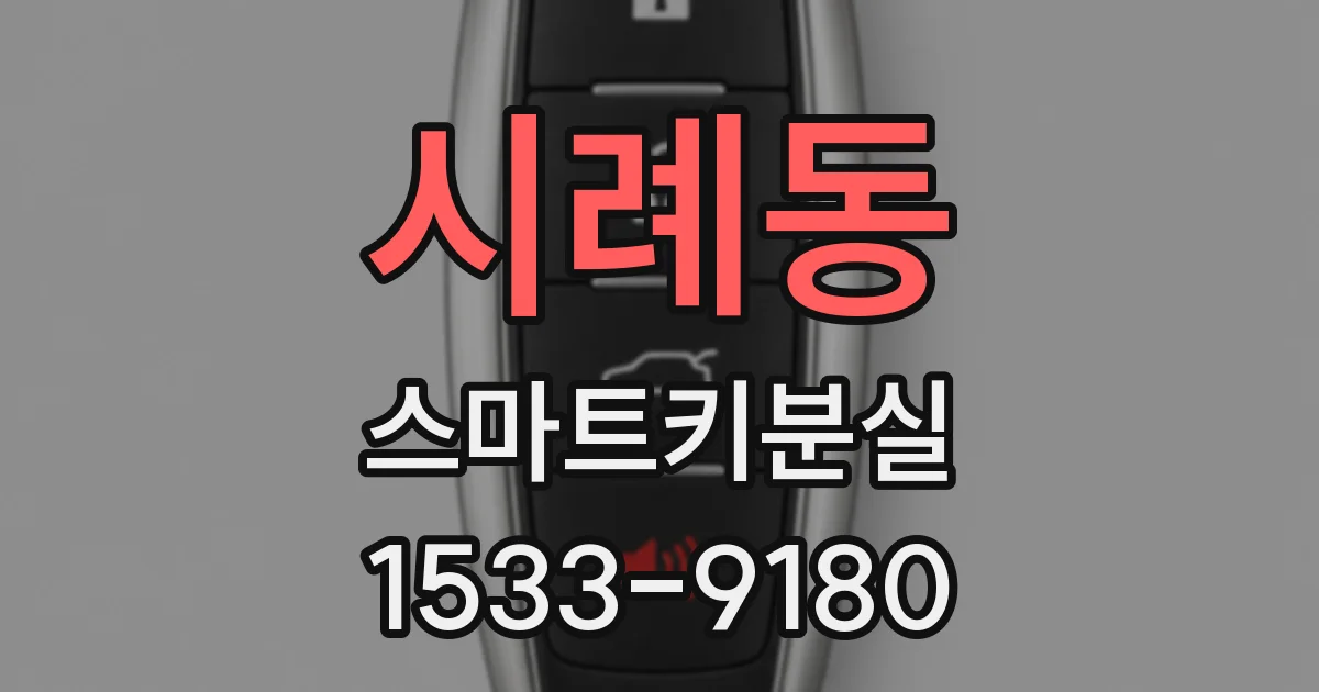 시례동 스마트키분실