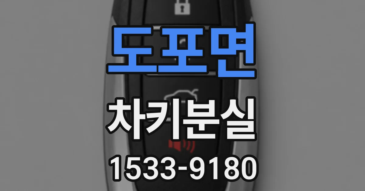 도포면 차키분실