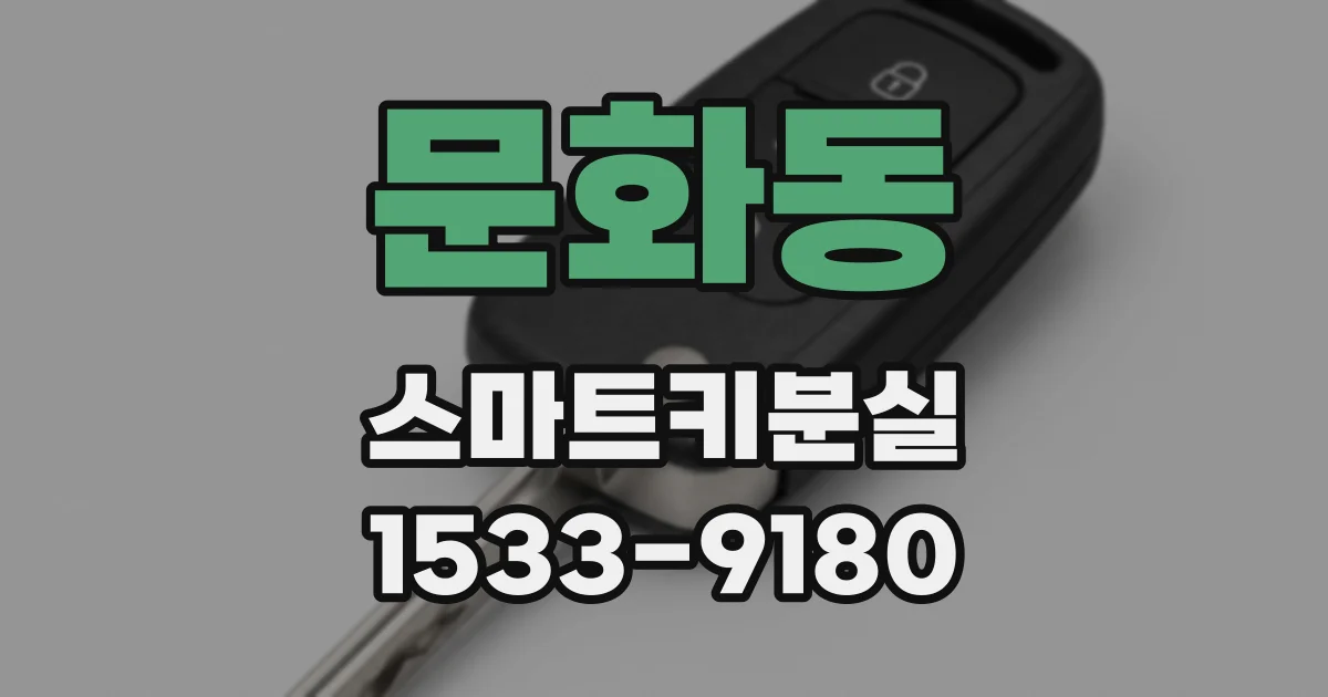 문화동 스마트키분실