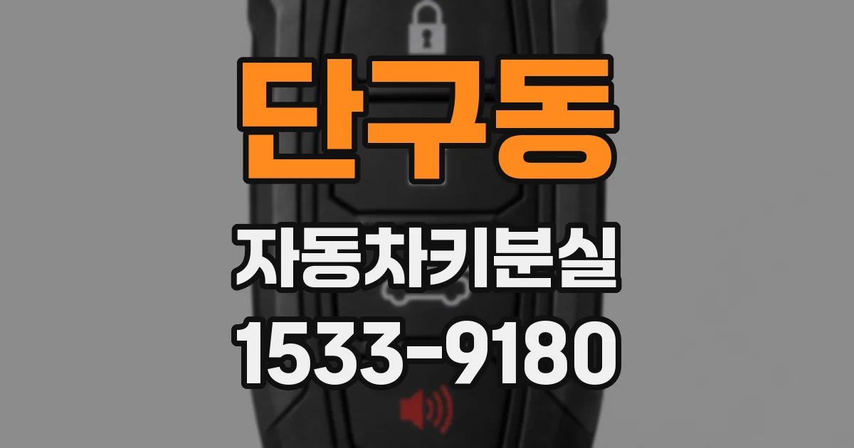 단구동 자동차키분실