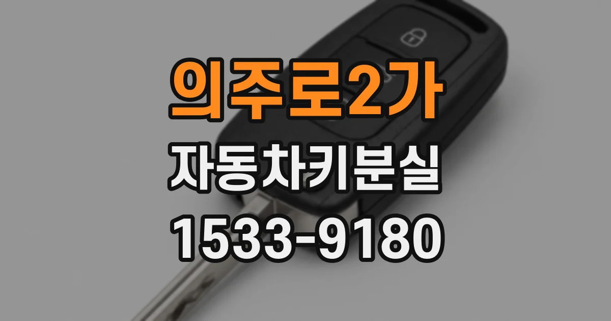 의주로2가 자동차키분실
