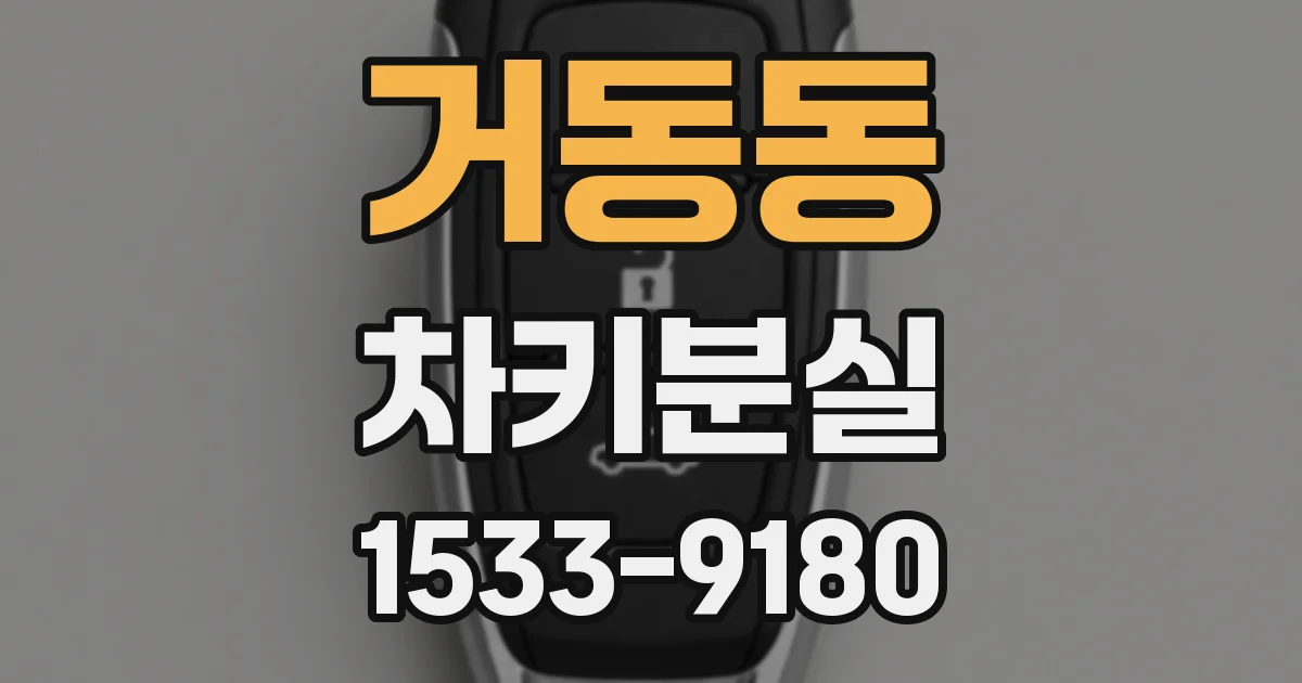 거동동 차키분실
