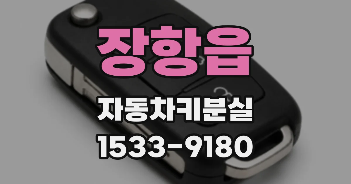 장항읍 자동차키분실