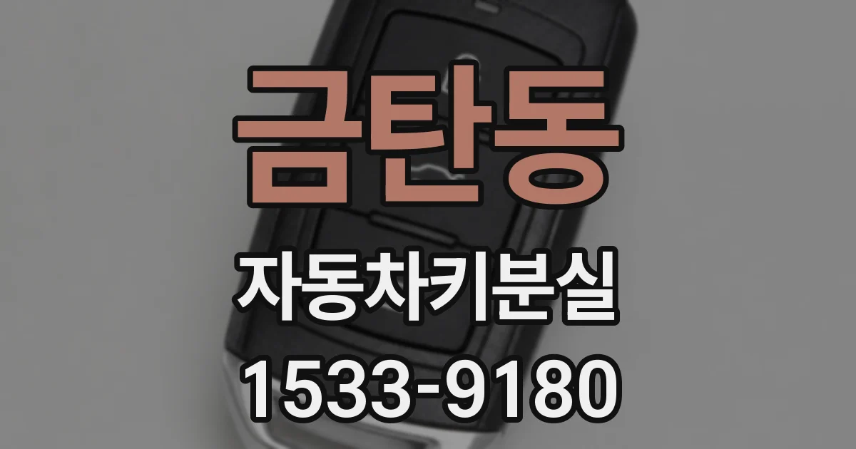 금탄동 자동차키분실