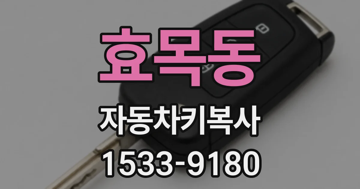 효목동 자동차키복사