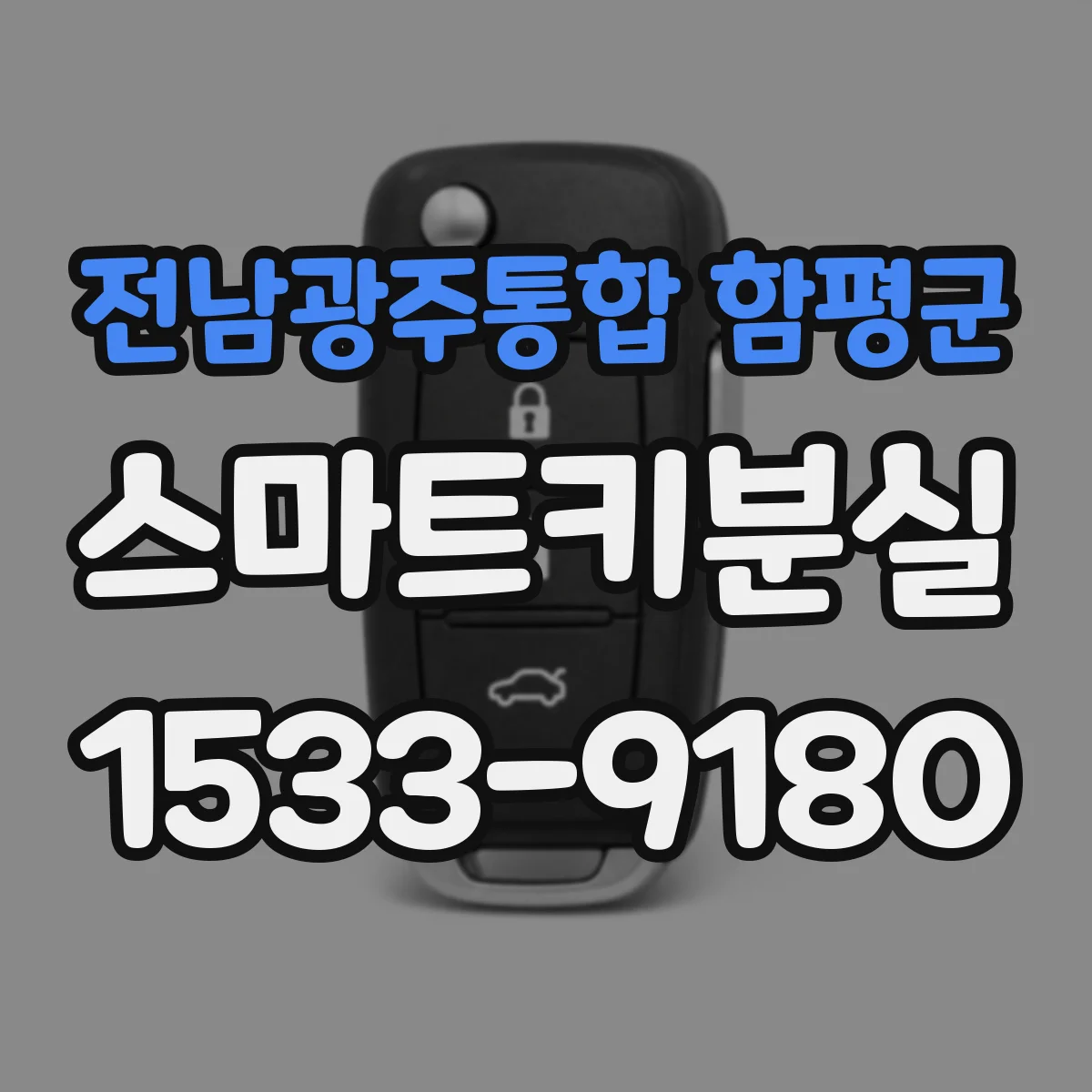전남광주통합 함평군 스마트키분실