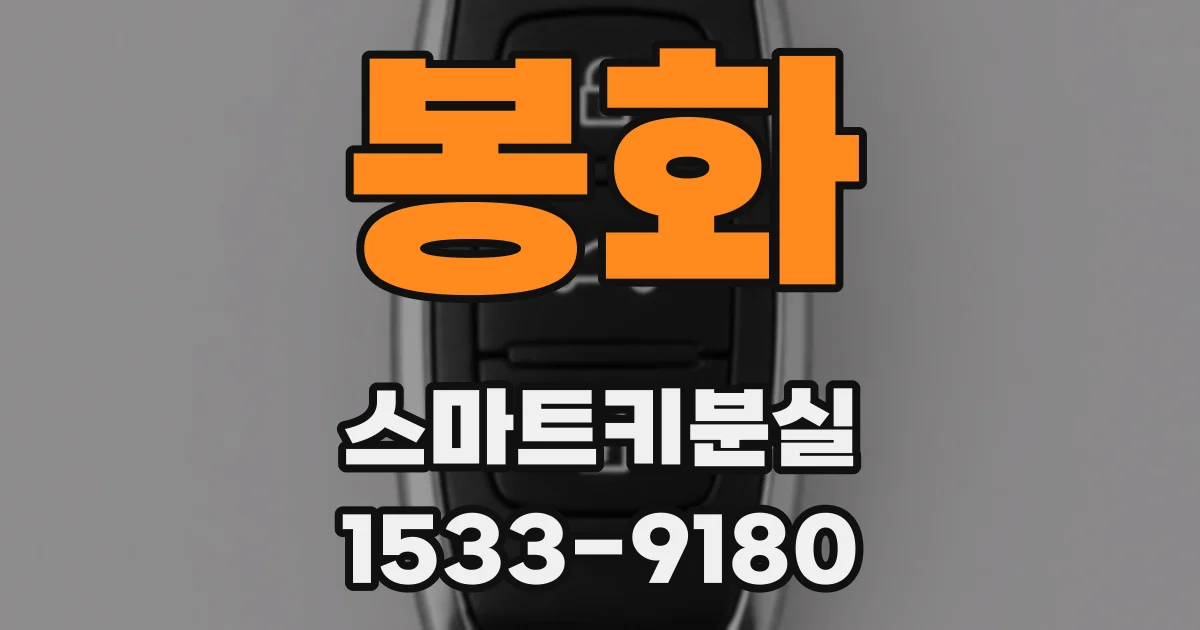 봉화 스마트키분실