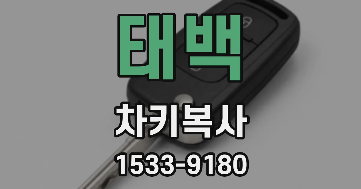 태백 차키복사