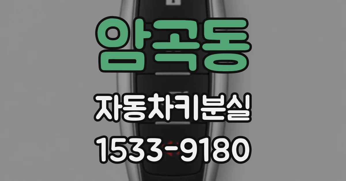 암곡동 자동차키분실