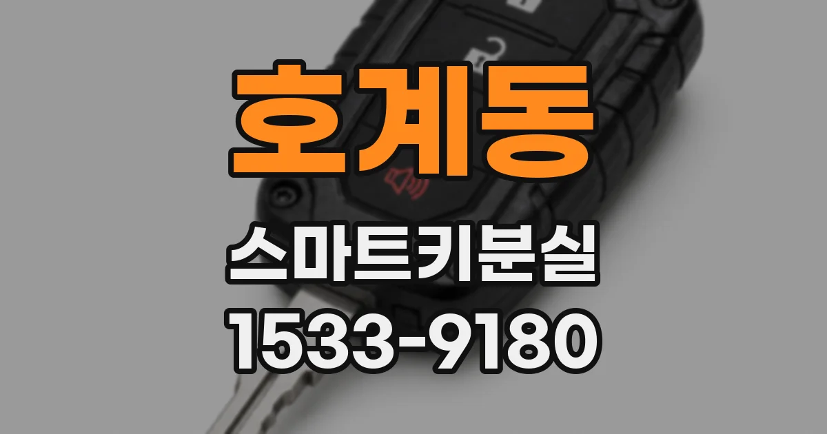 호계동 스마트키분실