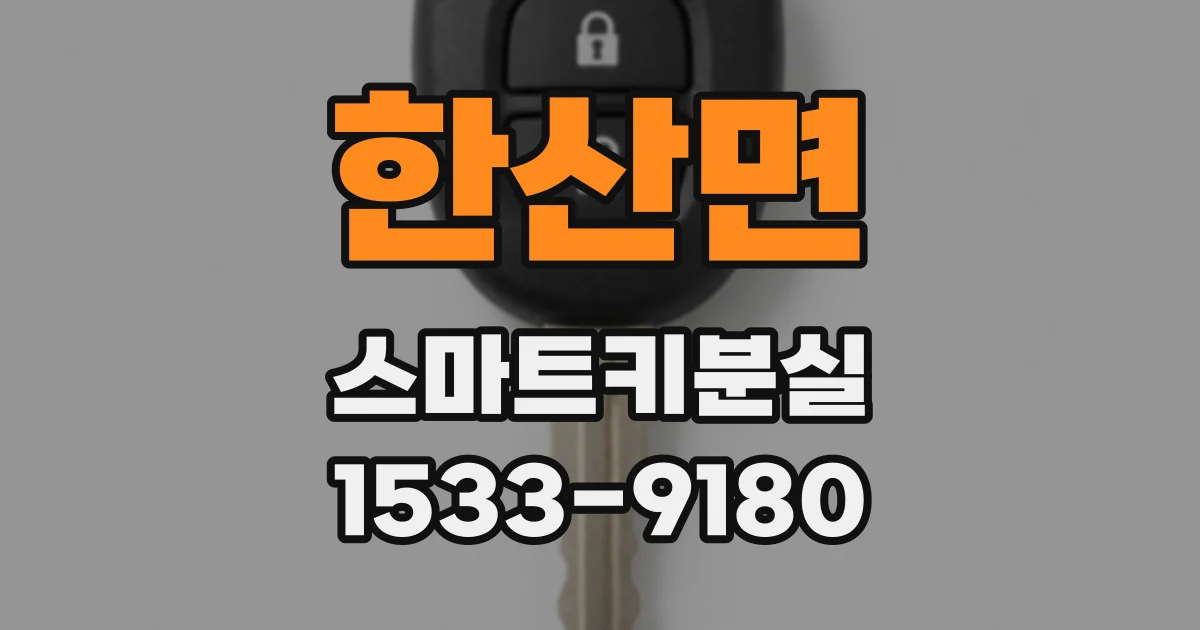 한산면 스마트키분실