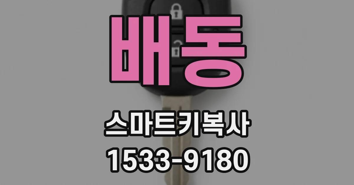 배동 스마트키복사