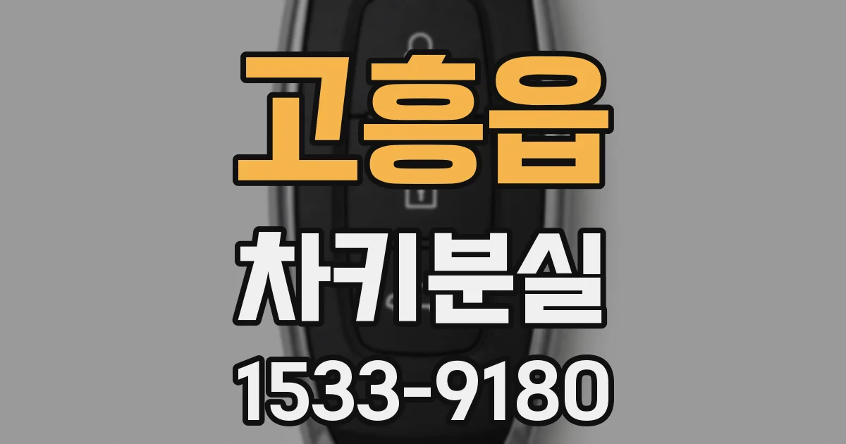 고흥읍 차키분실