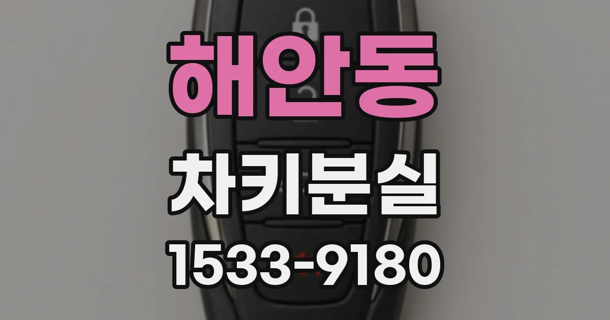해안동 차키분실