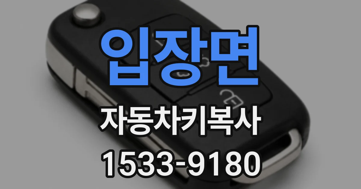 입장면 자동차키복사