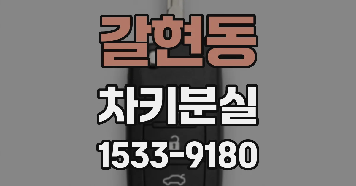 갈현동 차키분실