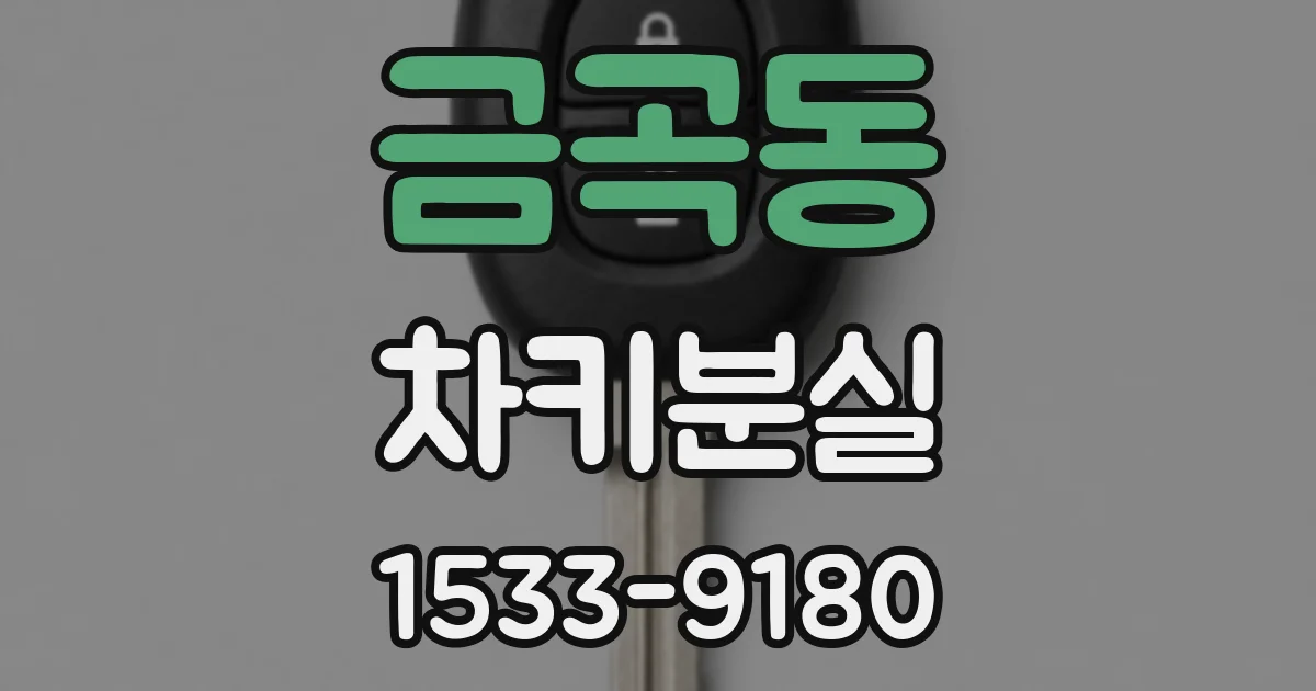 금곡동 차키분실