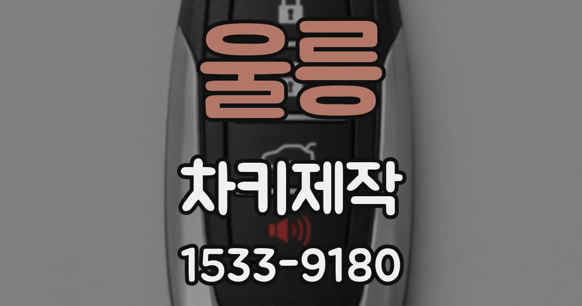 울릉 차키제작