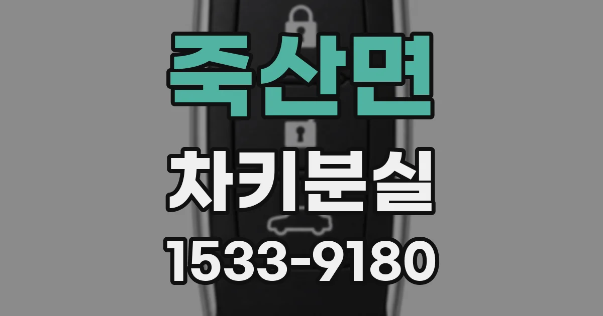 죽산면 차키분실