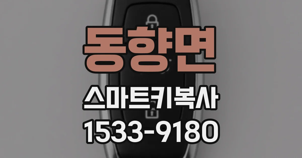 동향면 스마트키복사