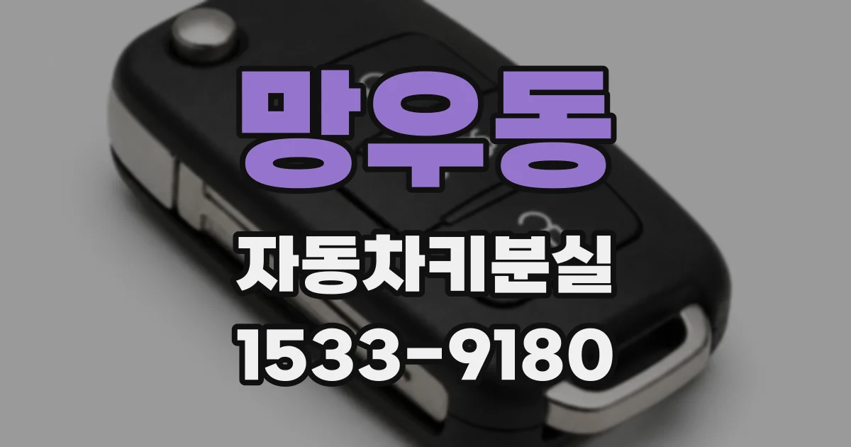 망우동 자동차키분실