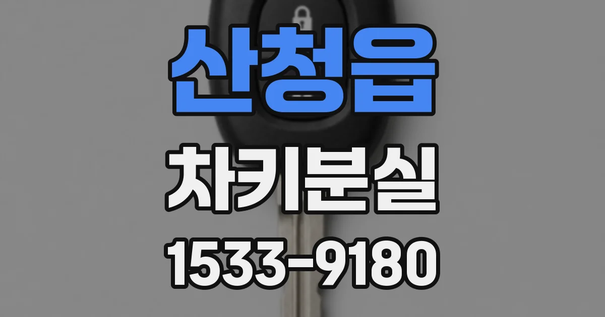 산청읍 차키분실