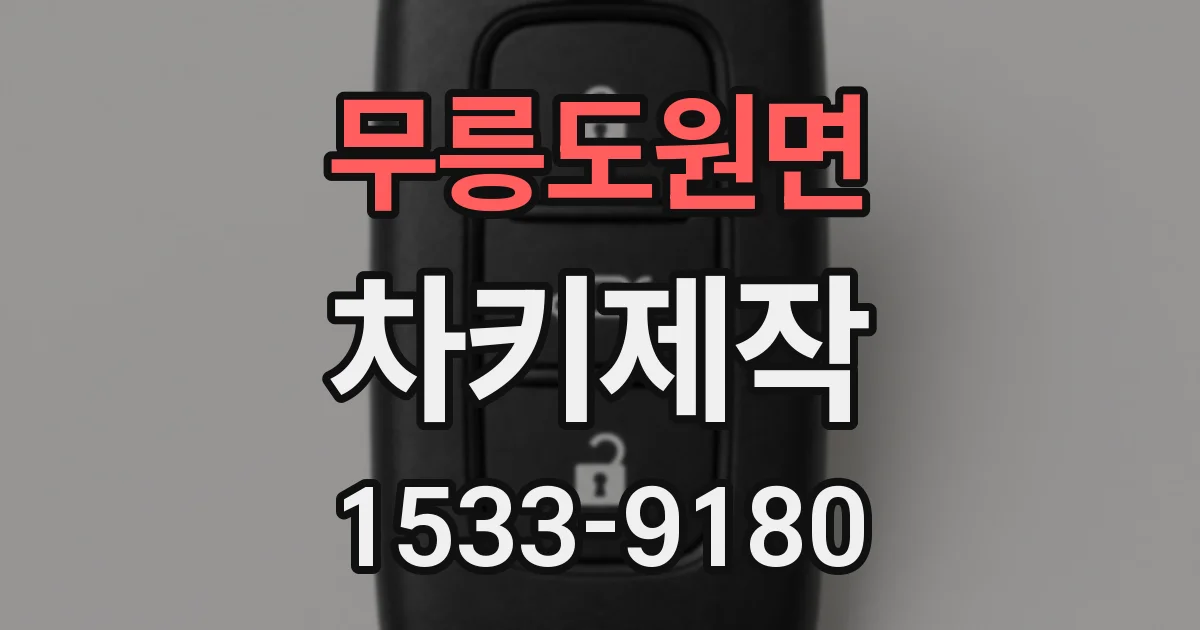 무릉도원면 차키제작