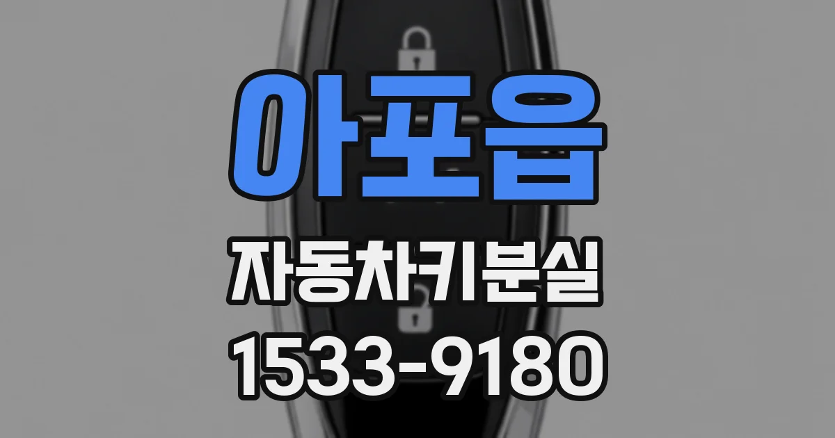 아포읍 자동차키분실