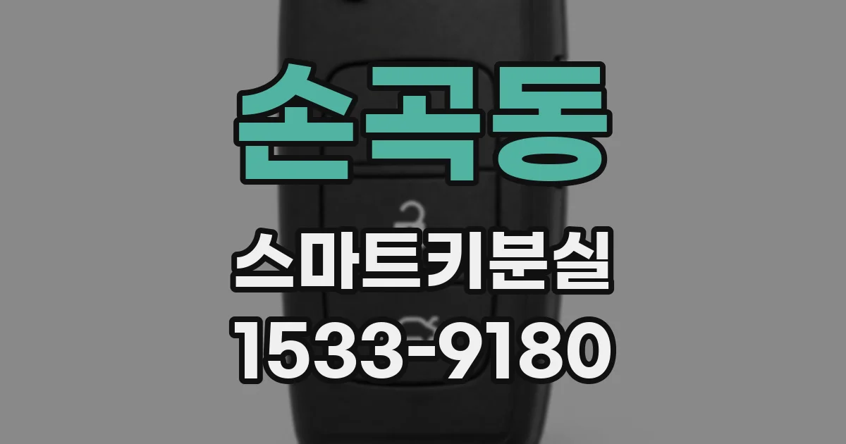 손곡동 스마트키분실