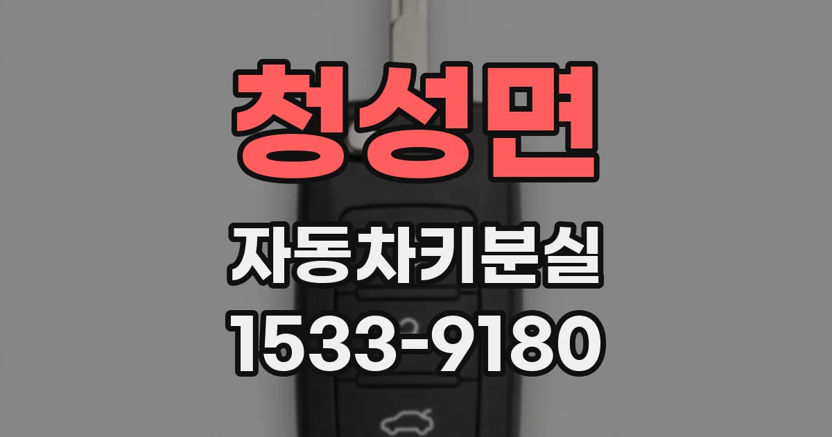 청성면 자동차키분실