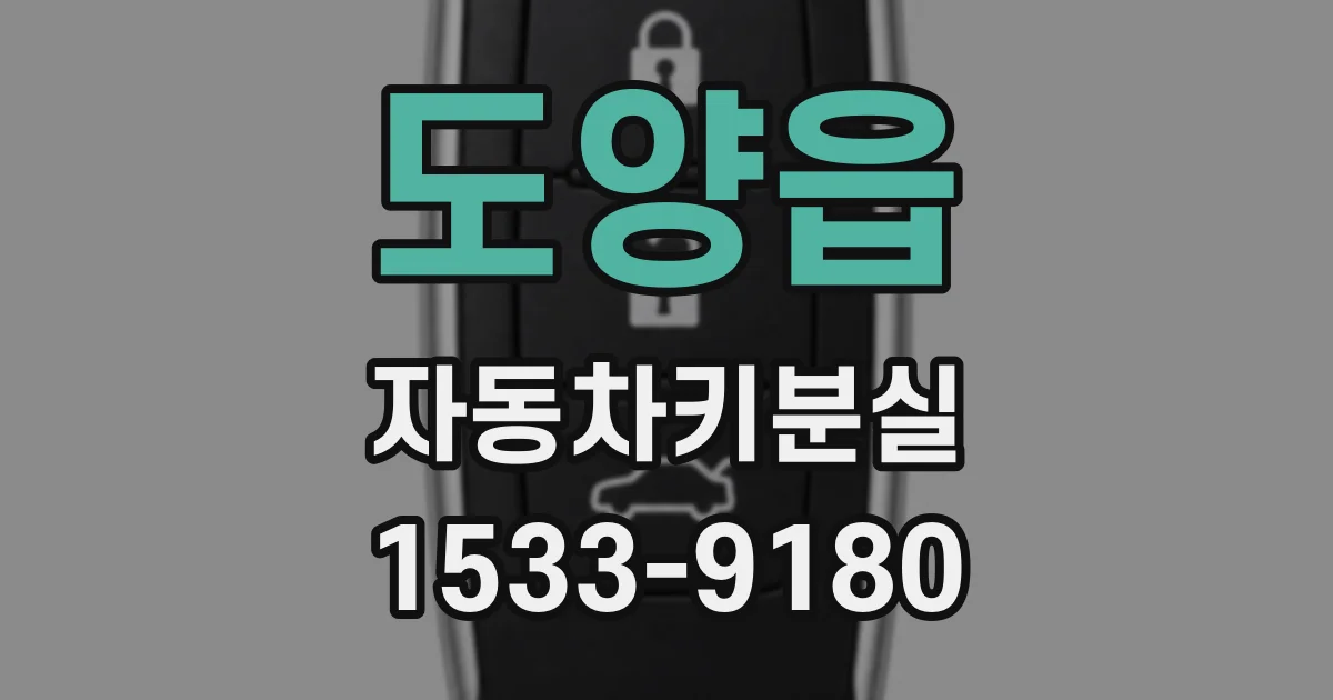 도양읍 자동차키분실