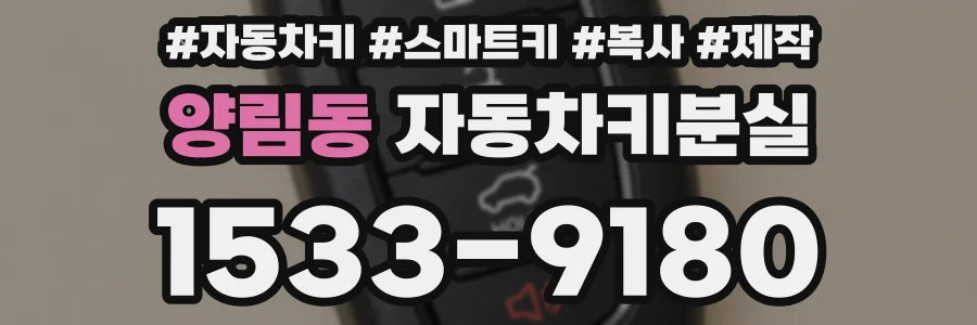 양림동 자동차키분실