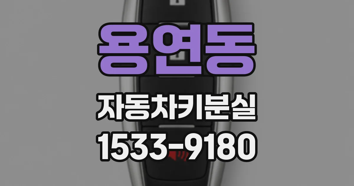 용연동 자동차키분실