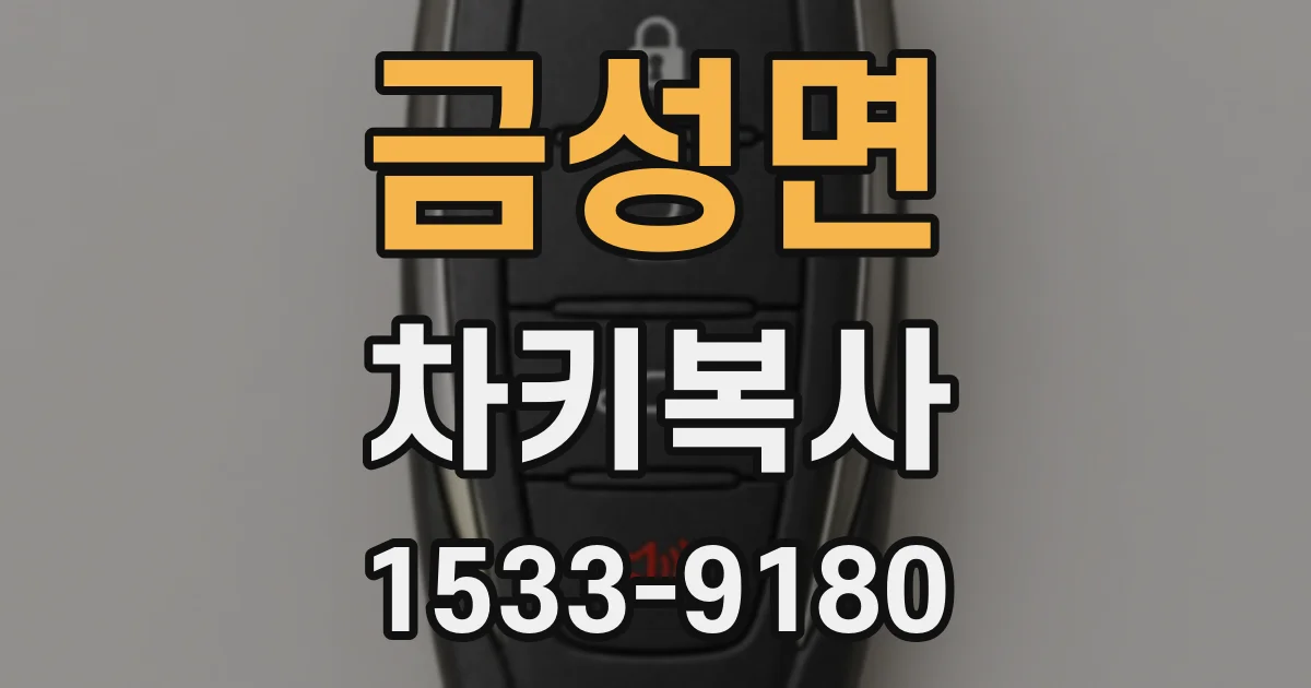 금성면 차키복사