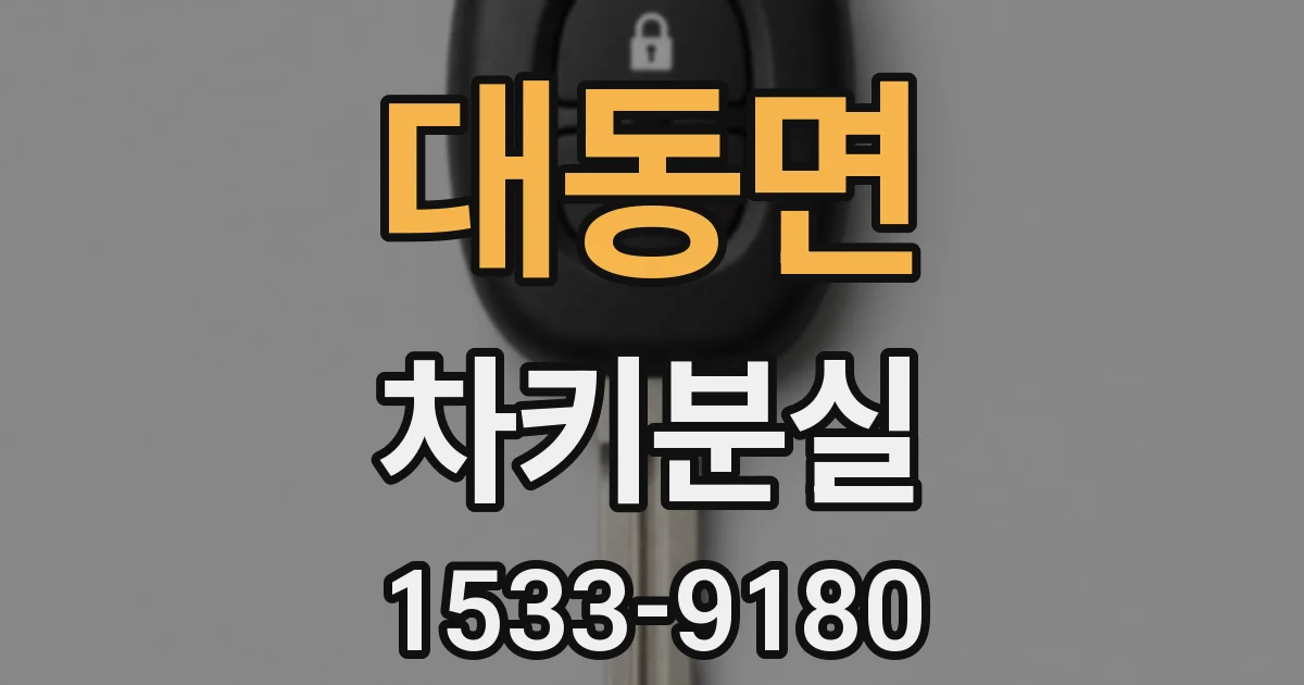 대동면 차키분실