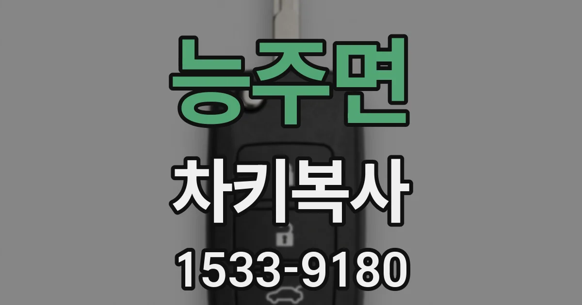 능주면 차키복사