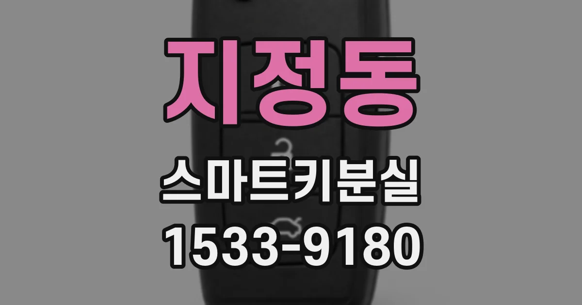 지정동 스마트키분실